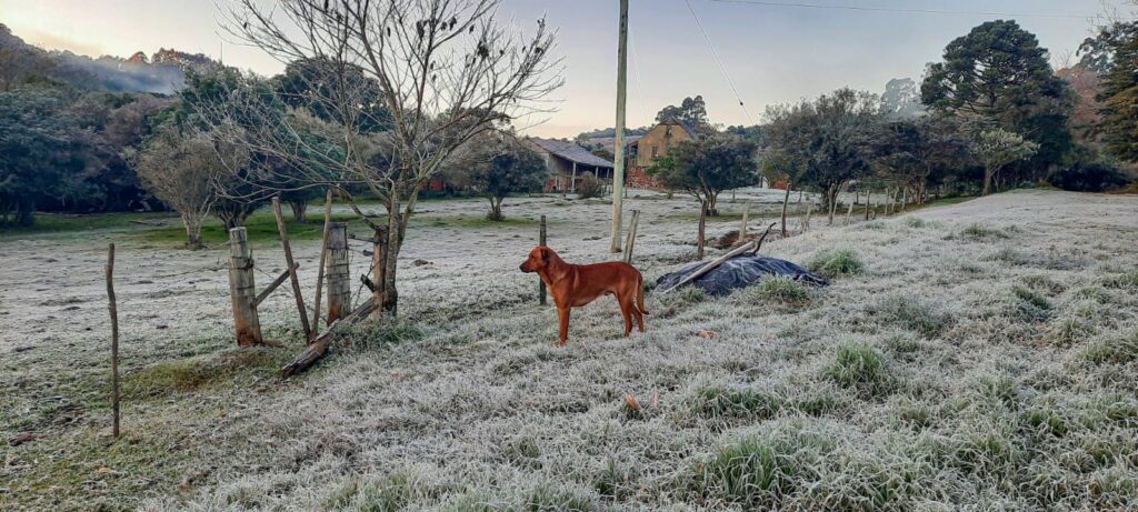 Após tempestades, Inmet alerta para geadas na região Sul nos