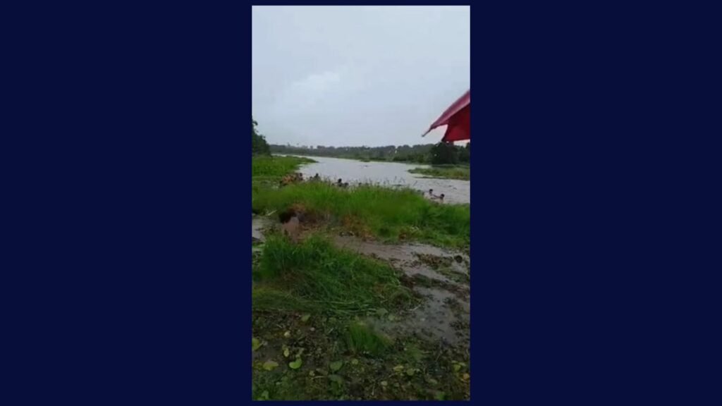 Homem acoolizado atravessa riacho e morre afogado em Mata Roma