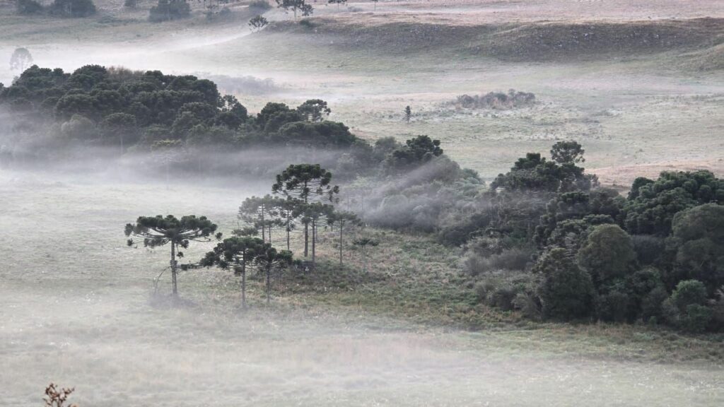 Onda de frio: cidade em SC registra temperatura de 0,1ºC