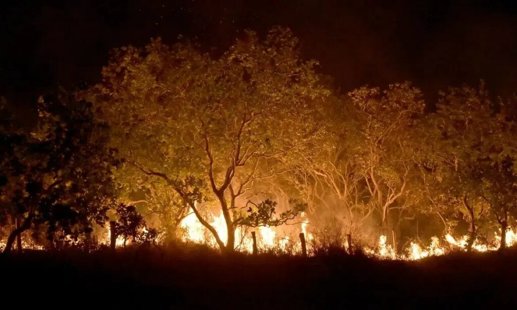 Queimadas na Amazônia mais do que dobraram nos primeiros meses