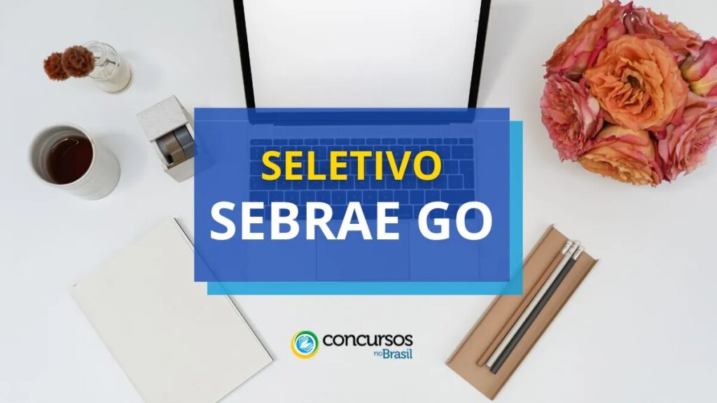 Sebrae GO lança processo seletivo; ganhos de R$ 7,9 mil