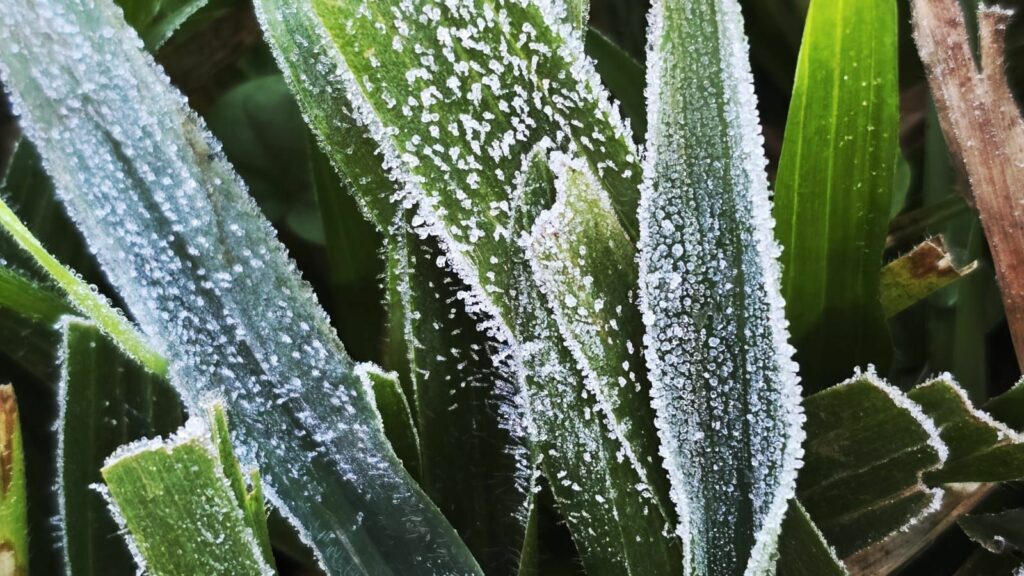 Temperaturas seguem em declínio no Sul e Sudeste do Brasil