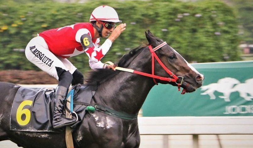 Vídeo: Jóquei sofre acidente durante corrida de cavalo e é