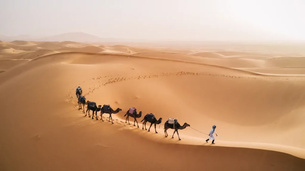 Arte rupestre revela passado surpreendente do deserto do Saara