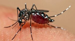 Brasil registra recorde histórico de 3 mil mortes por dengue