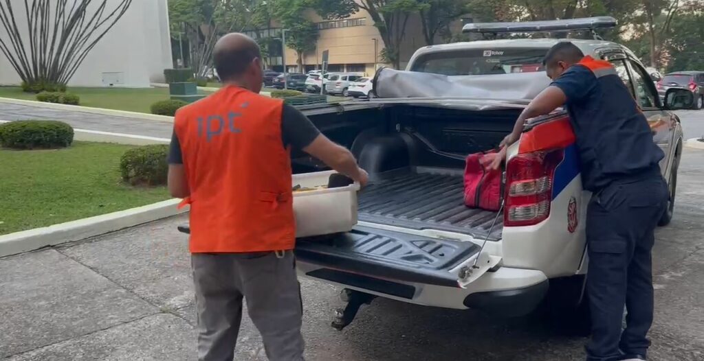 Chuvas no RS: defesas civis de SP e SC enviam