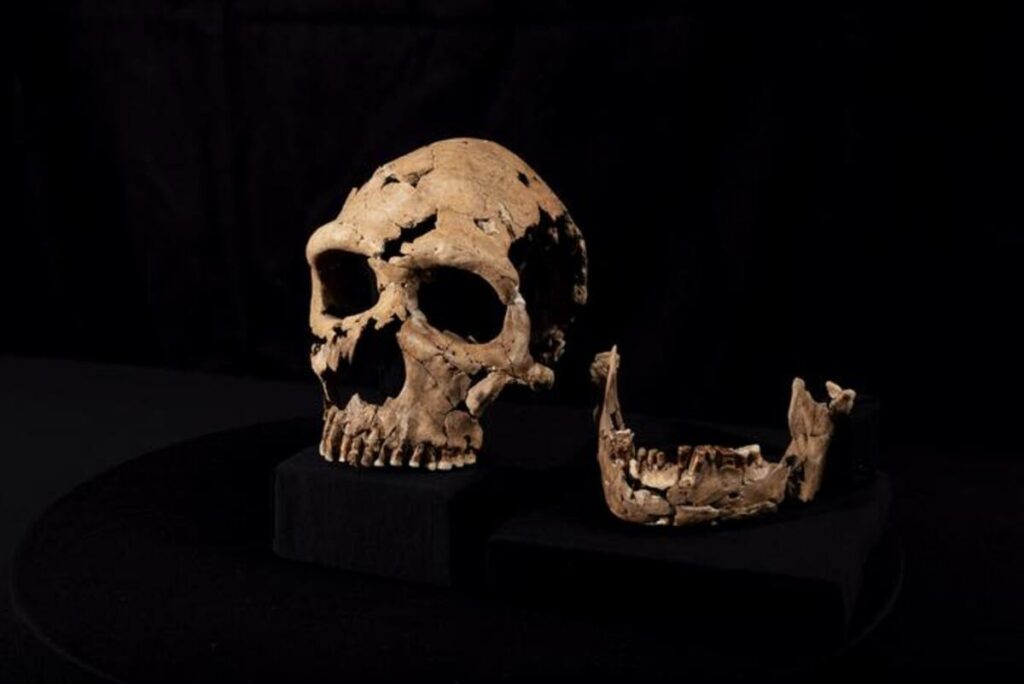 Cientistas recriam o rosto de mulher neandertal que viveu há