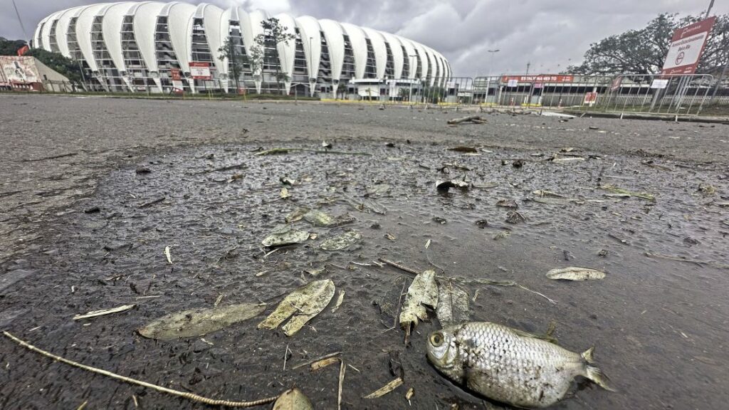 Com peixes e campo destruído, veja situação do Beira-Rio após