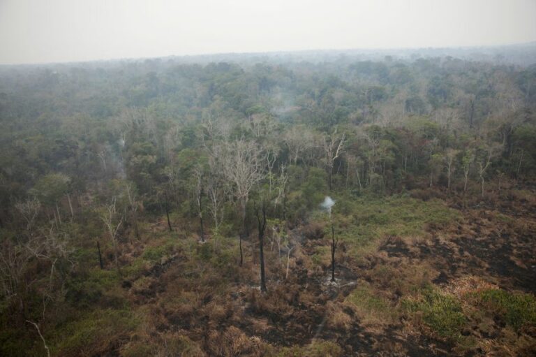 Com redução no combate, incêndios na Amazônia brasileira batem recorde