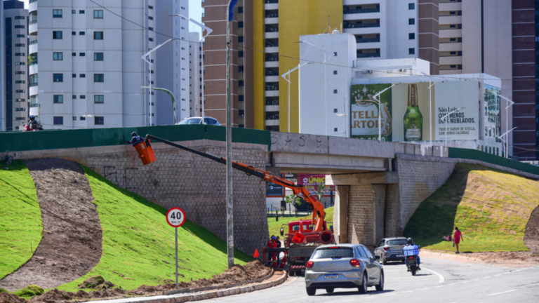 Elevado Holandeses passa por integração paisagística em sua fase final