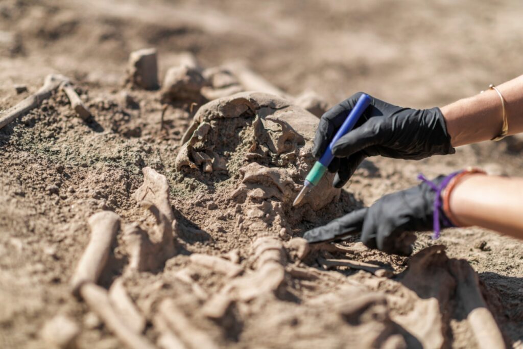 Esqueleto de criança híbrida reescreve história da espécie humana