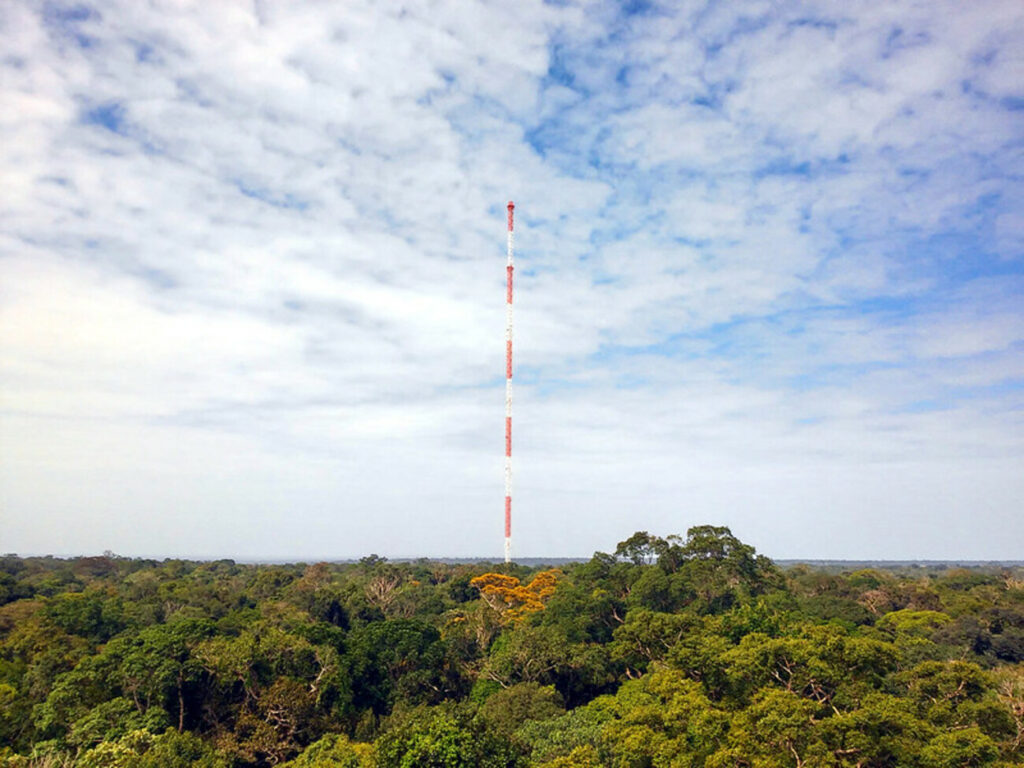 Estrutura no meio da Amazônia é mais alta que a