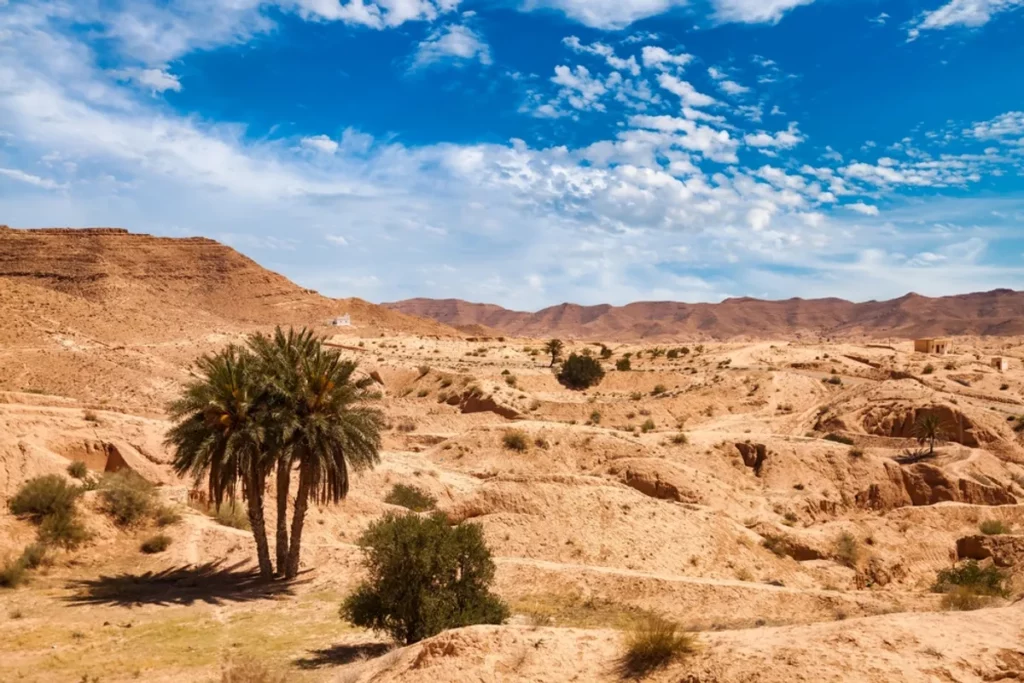 Norte da África experimentou grande mudança climática há 5 mil