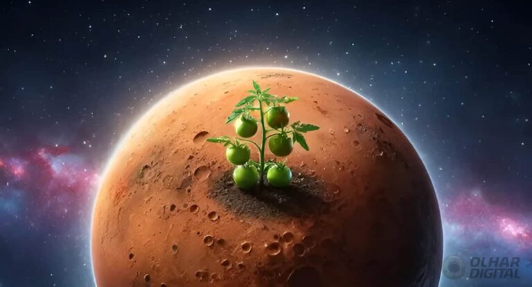 Olhar Espacial recebe brasileira que propõe técnica maia para cultivar