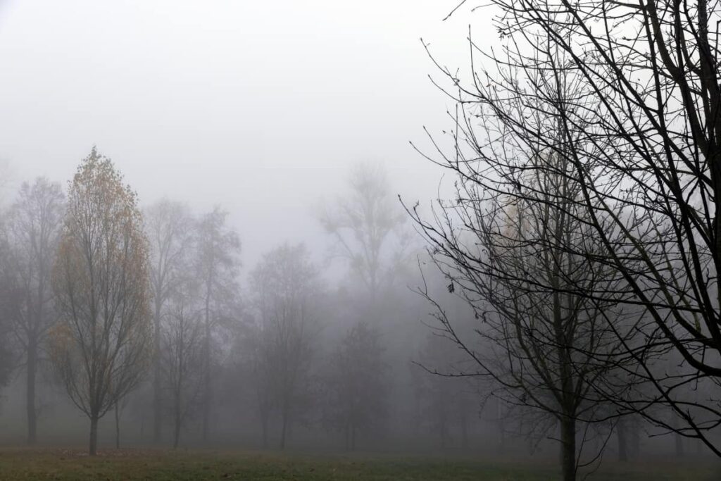 Onda de frio intensa chega ao Brasil com queda de