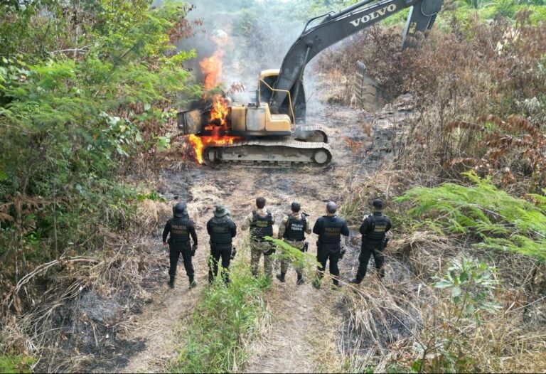 PF fecha três campos clandestinos de garimpo ilegal de ouro