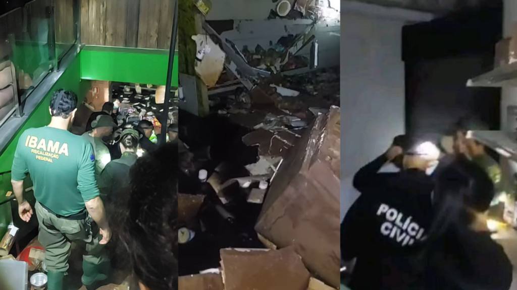 RS: petshop deixou animais morrerem no subsolo e salvou computadores,