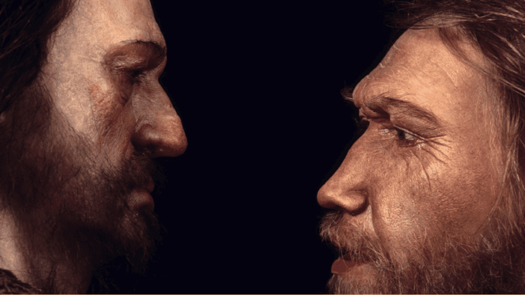 Uma capacidade curiosa diferenciou o Homo sapiens dos neandertais