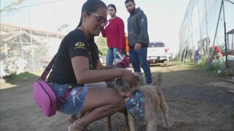 Vídeo: tutores se emocionam ao reencontrar cães perdidos em enchentes