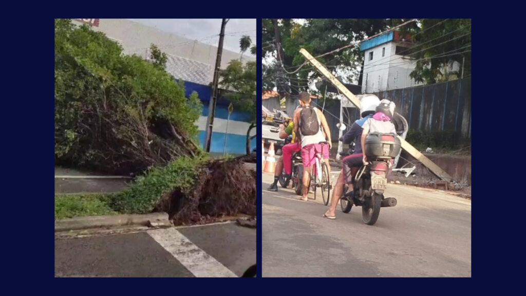 Alagamentos, queda de árvore e poste: chuva causa transtornos em