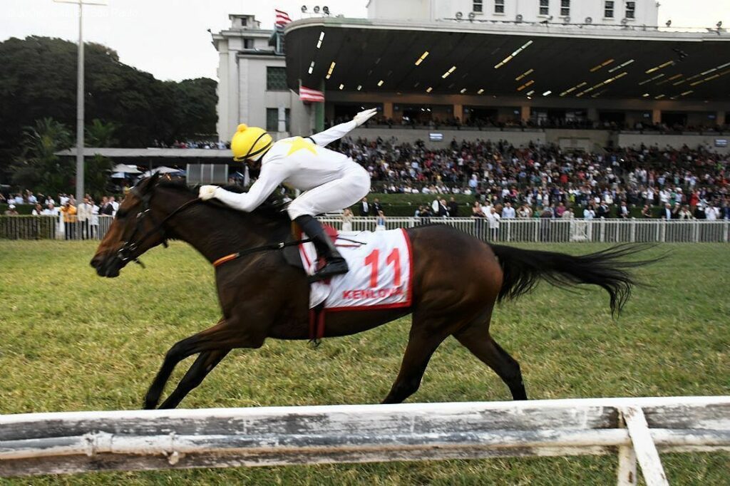 Após lei proibir corrida de cavalos, curiosos visitam o Jockey