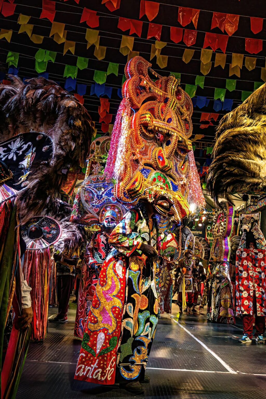 Boi de Santa Fé realiza tradicional ritual de batismo e