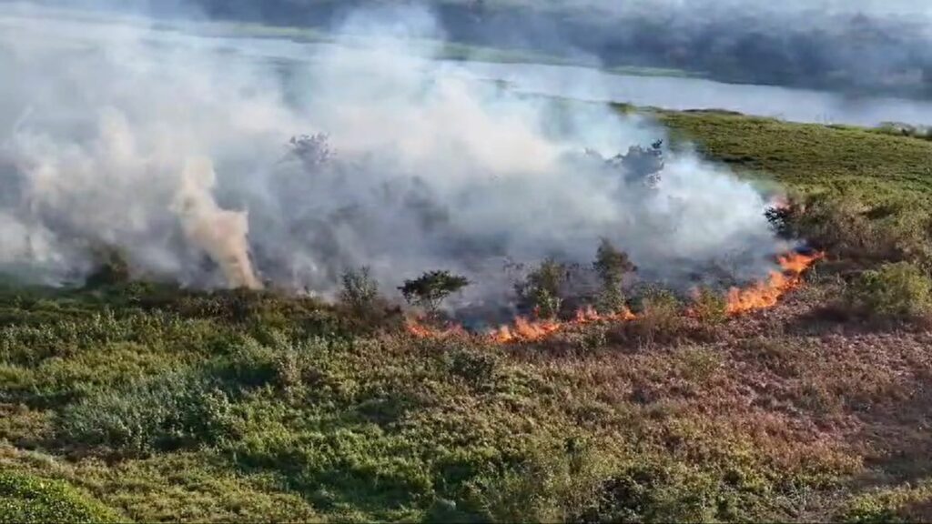 Bombeiros combatem incêndios no Pantanal há 77 dias; ribeirinhos são