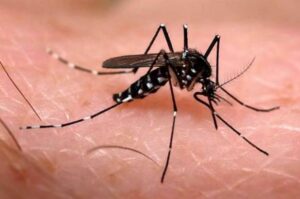 Brasil lidera o ranking de dengue com 6,3 milhões de