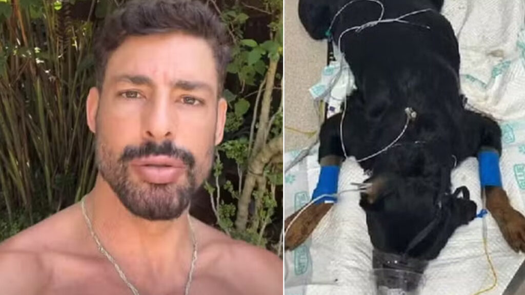 Cauã Reymond reaparece após perder cachorro envenenado e comove com