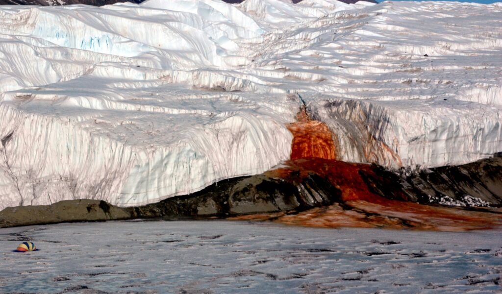 Conheça a “cachoeira de sangue” da Antártica e descubra por