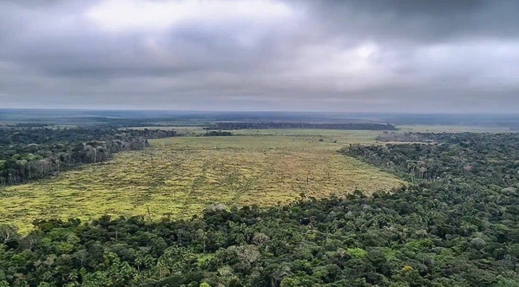 Defesa Civil do Amazonas prevê antecipação do período de seca