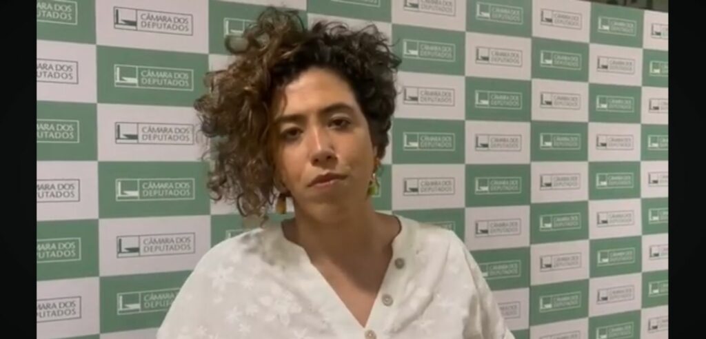 “É um PL absurdo”, diz Talíria Petrone sobre a proposta