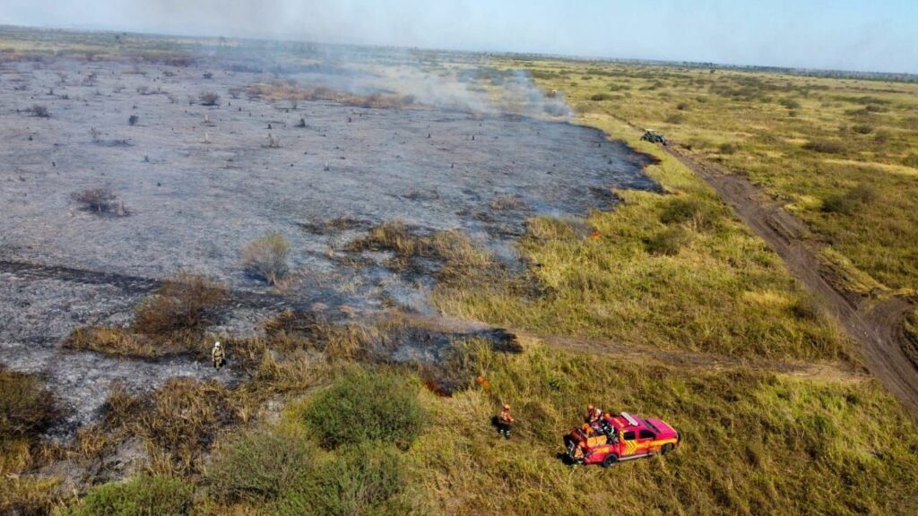 Imagens mostram dimensão dos incêndios no Pantanal; veja