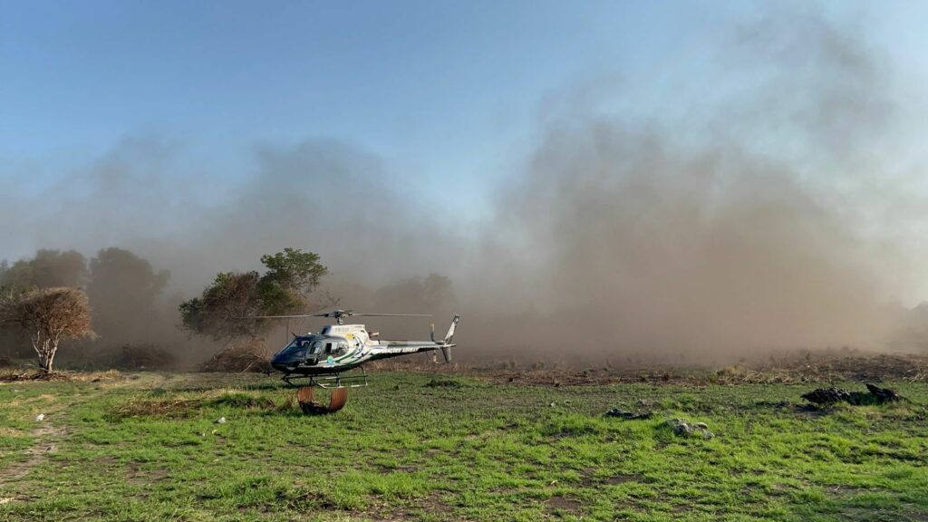 Incêndios no Pantanal aumentam quase 900% e região totaliza maior