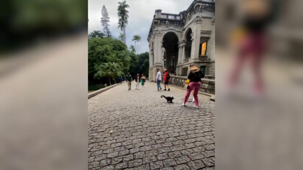 Influenciadora sofre “tentativa de assalto“ inusitada em parque no Rio;