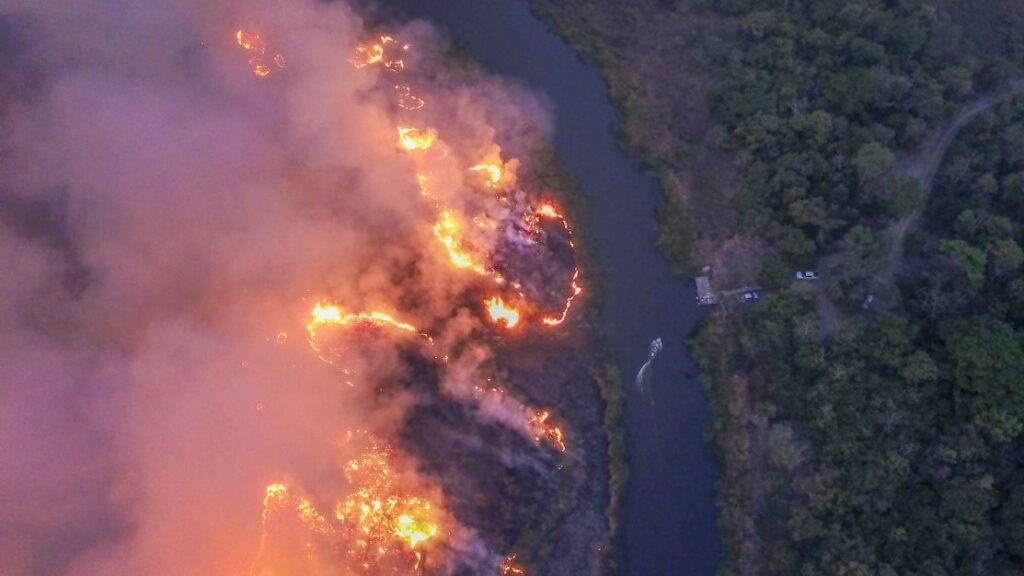 MS declara emergência em municípios atingidos por incêndios florestais