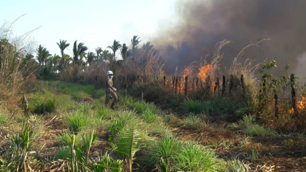 Maranhão é um dos estados com maior número de queimadas