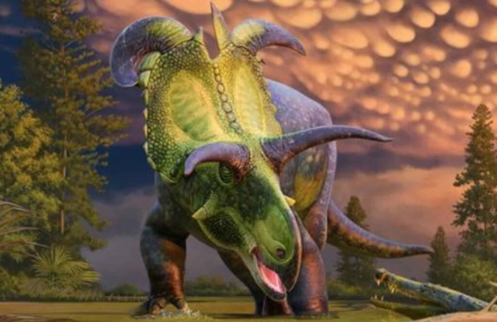 Nova espécie de dinossauro tem os maiores chifres que você