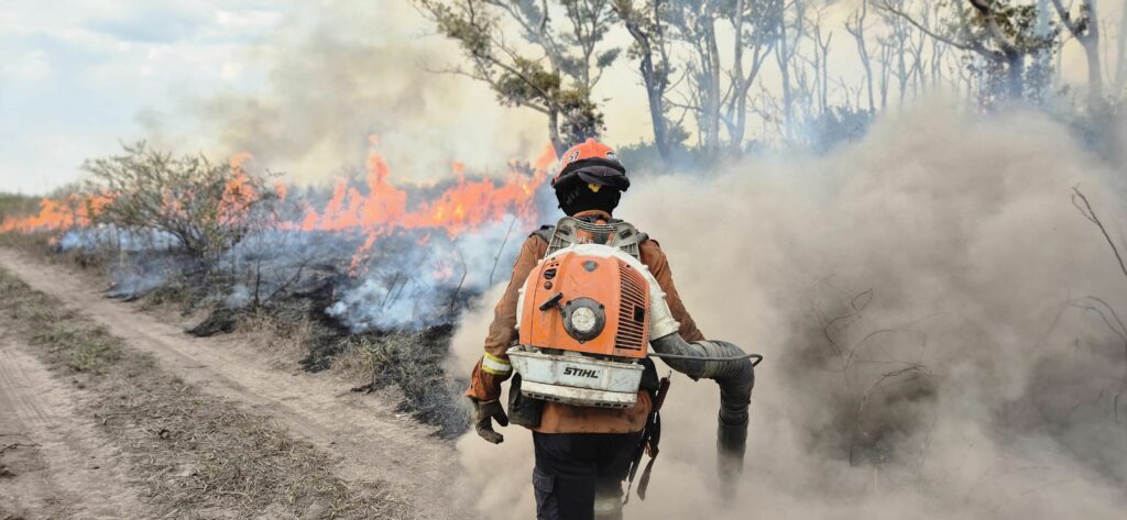 PF cria gabinete de crise para investigar incêndios no Pantanal