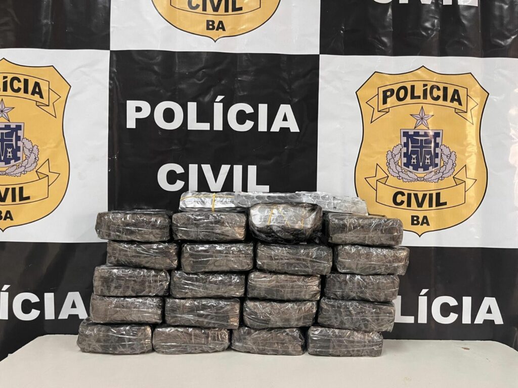 Polícia apreende 30 mil comprimidos de medicamento abortivo na Bahia