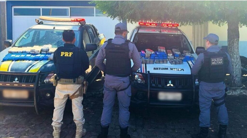 Polícia apreende mais de 60kg de entorpecentes na BR-230