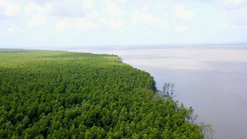 Projeto de gestão de água na região amazônica deve beneficiar