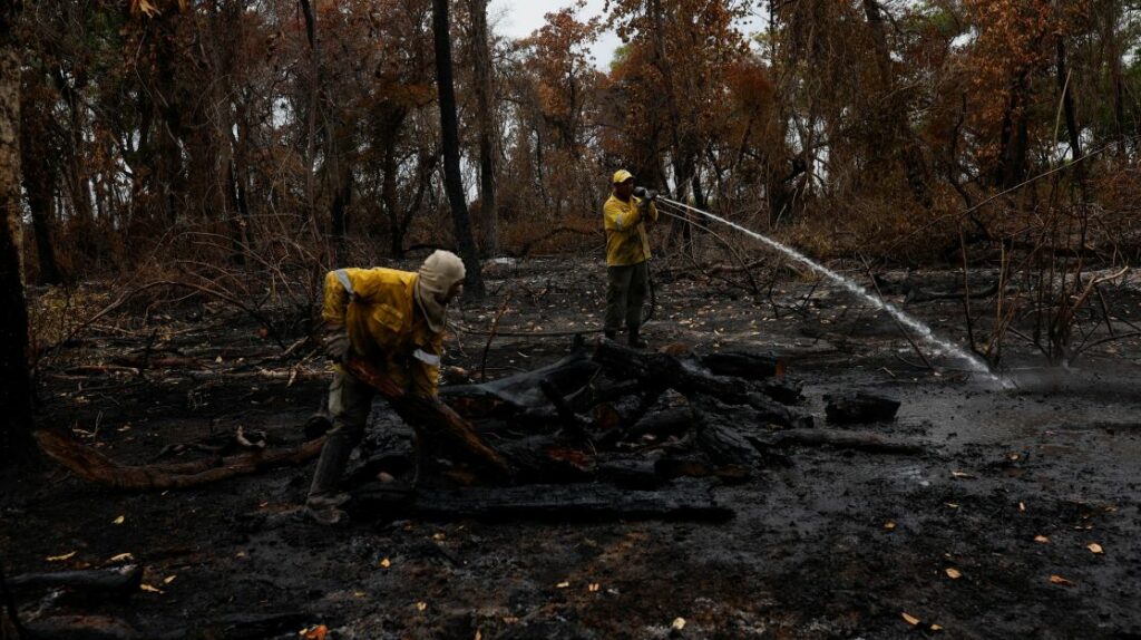 Queimadas no Pantanal crescem 980% e previsão é de seca