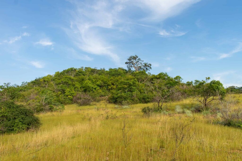 Região brasileira pode se tornar (quase) um deserto em breve