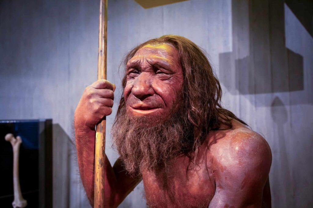 Uma diferença curiosa separa nossa língua da dos Neandertais; veja