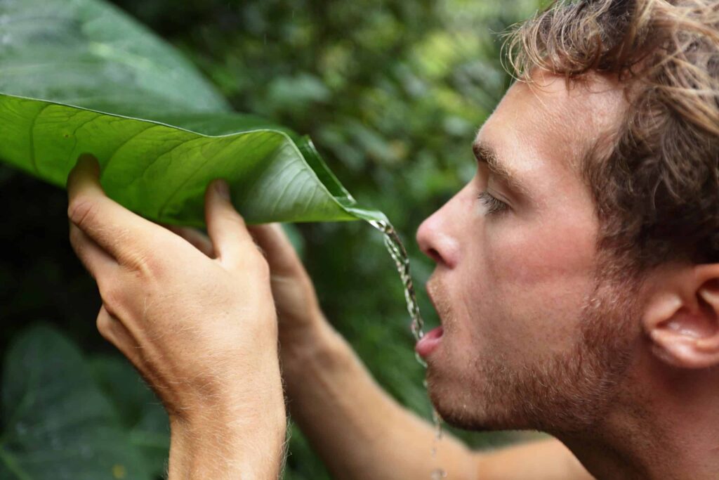 A Regra dos 3 pode salvar sua vida na natureza