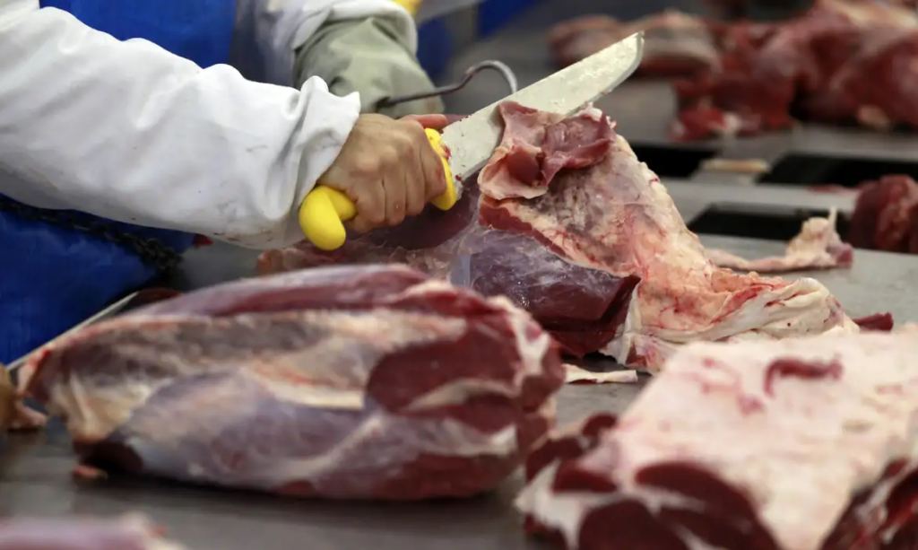 Consumo de carne bovina vai aumentar mais ainda até o