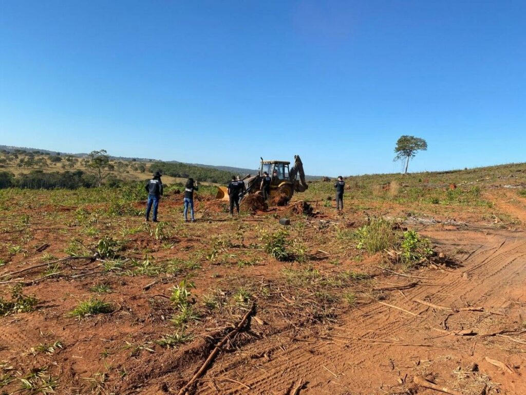 Corpo de vítima de feminicídio é encontrado enterrado em fazenda