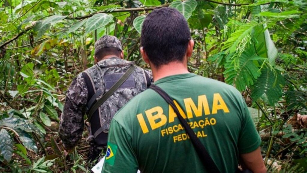 Fiscais do Ibama são condenados por cobrança de propinas no