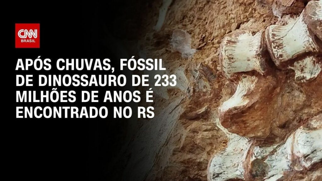 Fóssil de 223 milhões de anos do RS ajudará a